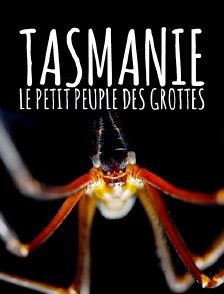 Tasmanie, le petit peuple des grottes