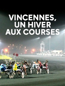 Vincennes, un hiver aux courses