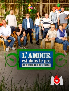 M6 - L'amour est dans le pré : Que sont-ils devenus ?