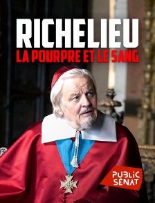 Public Sénat - Richelieu, la pourpre et le sang