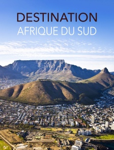 Destination Afrique Du Sud