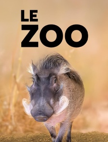 Le Zoo