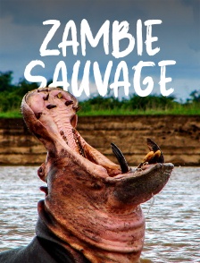 Zambie sauvage