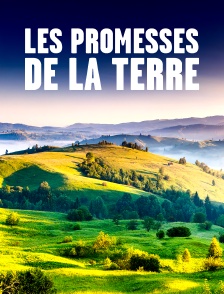 Les promesses de la terre