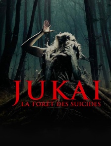 Jukaï : La Forêt des suicides