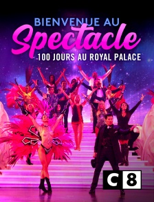 C8 - Bienvenue au spectacle ! 100 jours au Royal Palace