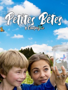 Petites bêtes et compagnie