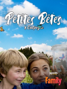 Petites bêtes et compagnie