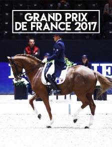 Grand Prix de France 2017