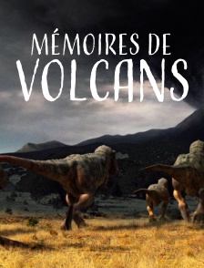 Mémoires de volcans