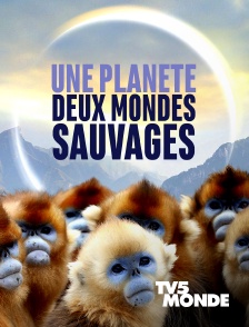 TV5MONDE - Une planète, sept mondes sauvages