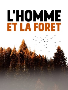 L'homme et la forêt