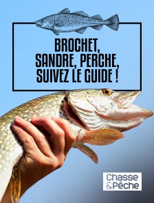 Chasse et pêche - Brochet, sandre, perche, suivez le guide ! en replay