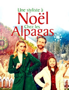 Une styliste à Noël chez les alpagas