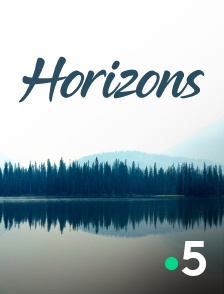 France 5 - Horizons