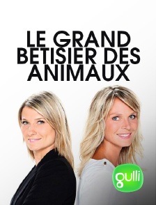 Le grand bêtisier des animaux