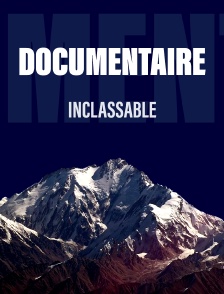 Inclassable