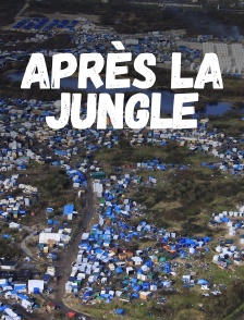 Après la Jungle