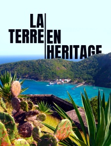 La terre en héritage