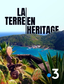 France 3 - La terre en héritage