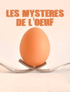 Les mystères de l'oeuf