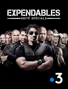 France 3 - Expendables : Unité spéciale