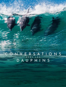 Conversations avec les dauphins