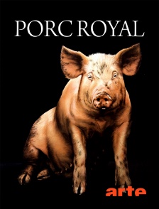 Arte - Porc royal