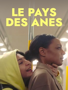 Le pays des ânes