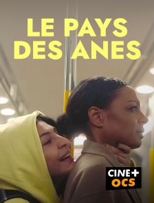CINÉ Cinéma - Le pays des ânes