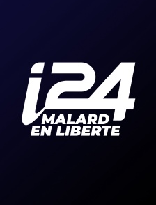 Malard en liberté