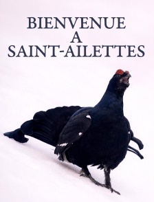 Bienvenue à Saint-Ailettes
