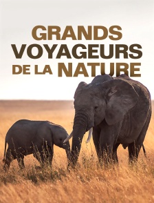 Grands voyageurs de la nature