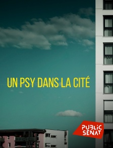 Public Sénat - Un psy dans la cité