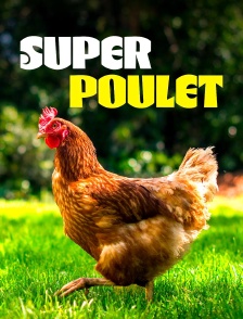 Super poulet