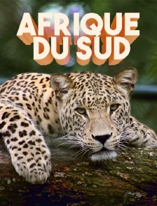Afrique du Sud
