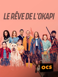 OCS - Le rêve de l'okapi