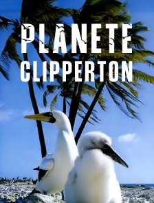 Planète Clipperton