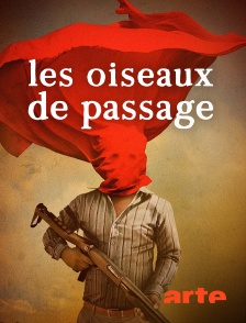 Les oiseaux de passage