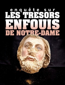 Enquête sur les trésors enfouis de Notre-Dame