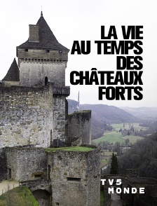 TV5MONDE - Au temps des ...