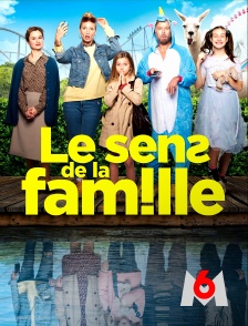 M6 - Le sens de la famille