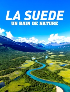 La Suède, un bain de nature