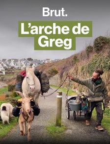 Depuis 15 mois, il marche avec ses animaux à travers la France