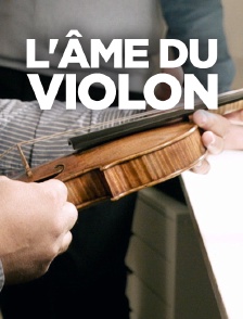 L'âme du violon