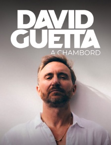 David Guetta, live à Chambord