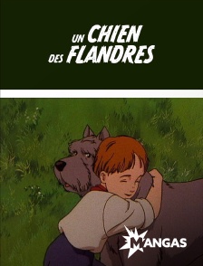 MANGAS - Un chien des Flandres