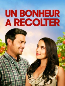 Un bonheur à récolter