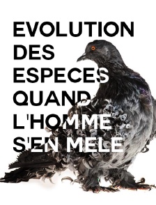 Evolution des espèces : quand l'homme s'en mêle