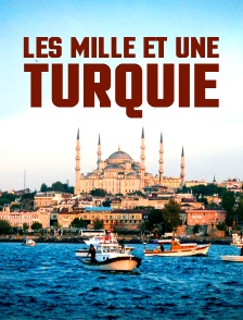 Les mille et une Turquie